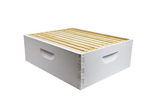 Complete Beekeeping 10-Frame Painted Hive Body (Shallow 6 5/8")