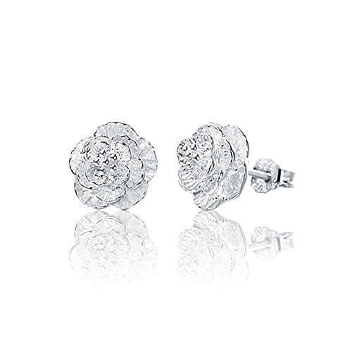 ER-20063C1 Explosion Models Silver Plating Women's Earring