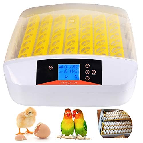 Aceshin Automatic 56 Digital Egg Incubator Turning Temperature Control, Poultry Hatcher for Chickens Ducks Goose Birds (US Stock)
