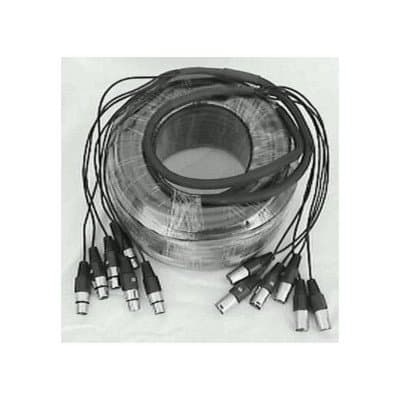 100' 6 Channel Snake