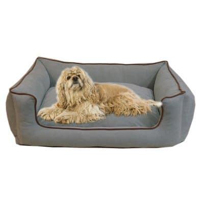 Carolina Pet Microfiber Kuddle Lounge Low Profile Bed for Pets, X-Large, Spa Blue/Chocolate