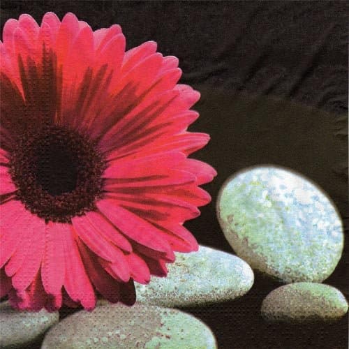 Daisys Rock Designer Napkins