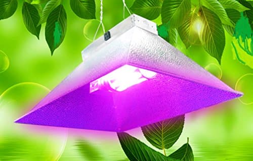 LightWise DLH219 Single E39 60W LED Corn bulb 2x1Ft Grow Hood Lights with Full Spectrum like Sunlight