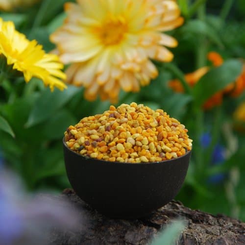 Aspermuehle Spanish Bee Pollen 500g