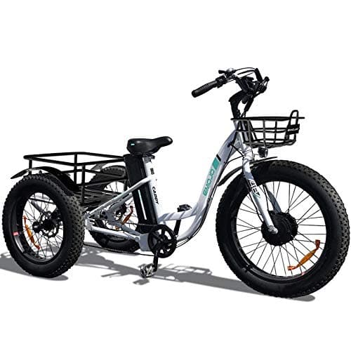 Emojo Caddy Tricycle White 48V 500W