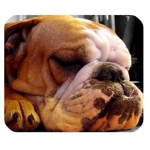 Bulldog Personalized Custom Gaming Mouse Pad Rubber Durable Computer Desk Stationery Accessories Mouse Pads For Gift