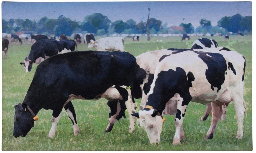 Esschert Doormat Cows – RB93