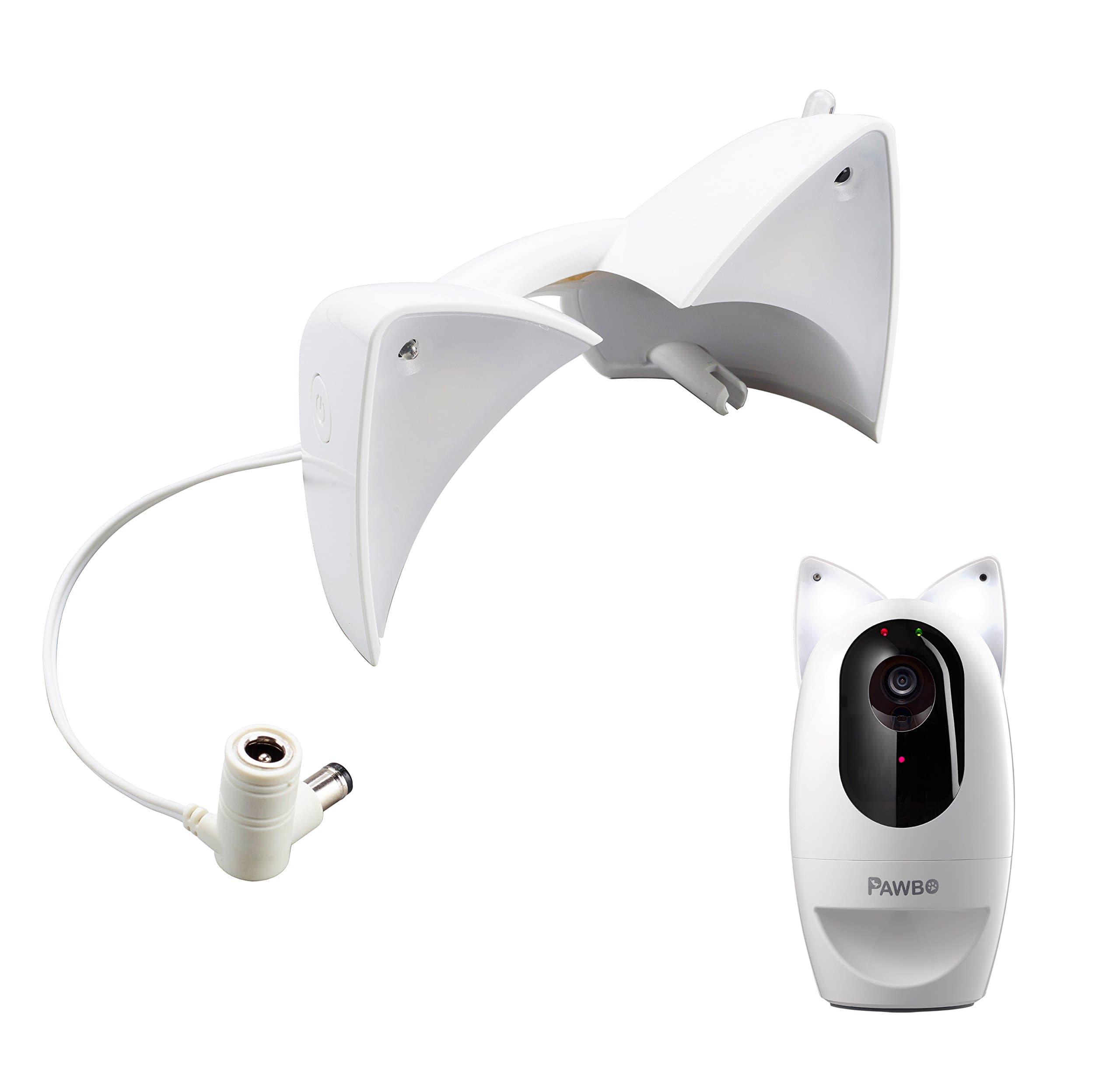 Pawbo Theme Park, Flash, Small