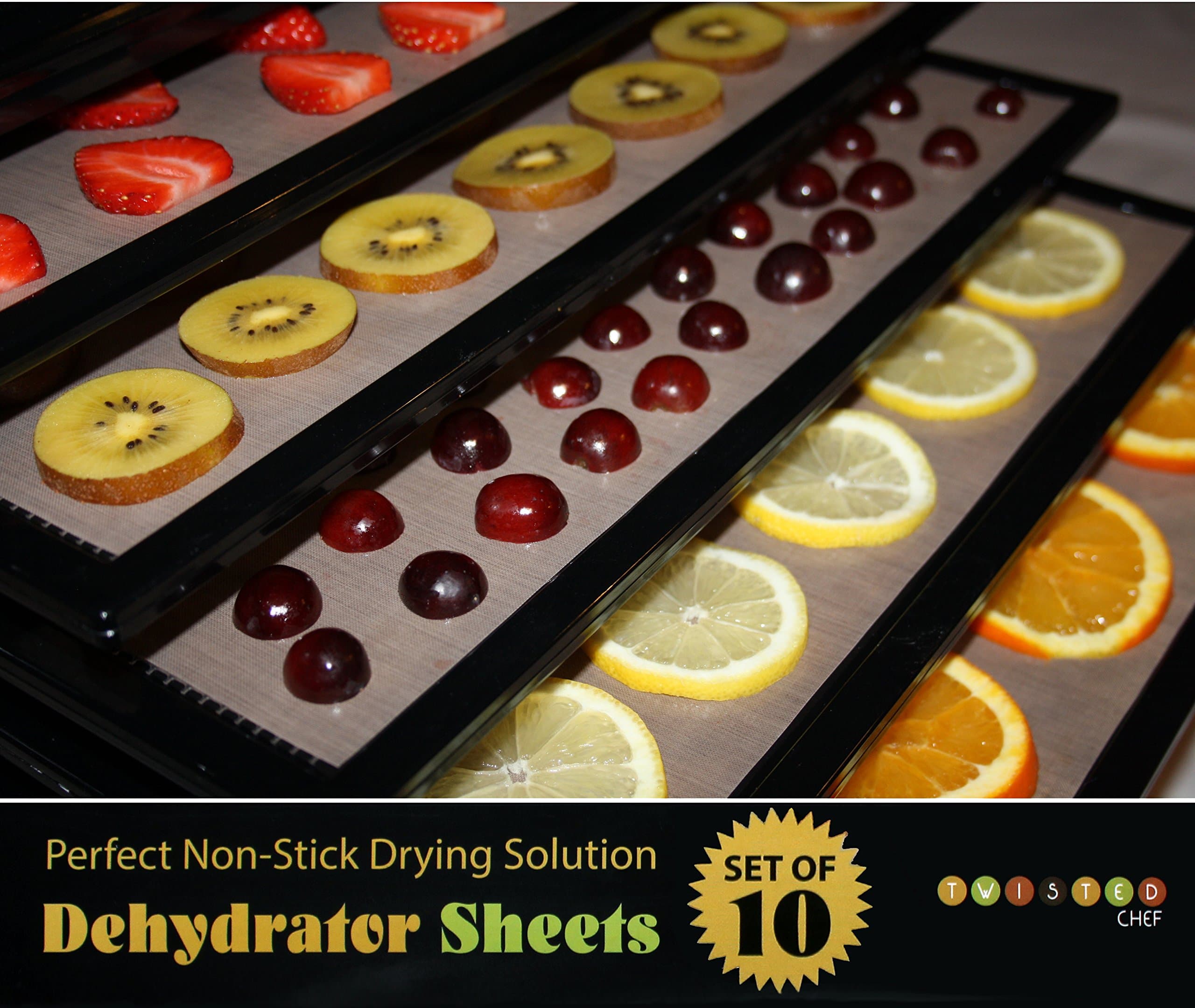 Food Dehydrator Sheets - 10 Pack - Reusable Non Stick Teflex Accessories For Excalibur Trays - Teflon Mats 14"x14"
