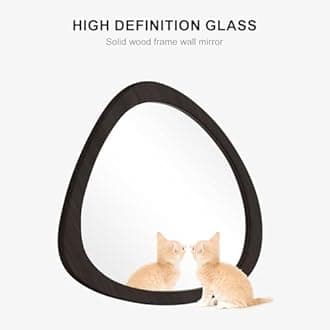 WallBeyond Asymmetrical Mirror, Irregular Wall Mirror, Wall Mirrors Decorative for Bedroom Living Room Entryway Hall, Wood Mirror for mid Century Modern Decor 23" H x 19" W, Black