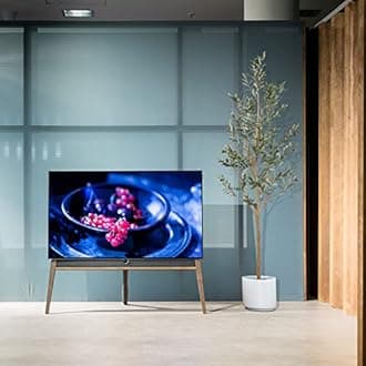 Fiddle leaf fig tree