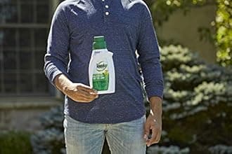 Roundup For Lawns2 Concentrate (Northern) - 32 oz., Lawn Safe Weed Killer For Northern Lawns, Kills Crabgrass, Dandelion, Clover & Yellow Nutsedge, Starts Working Immediately, 5008710