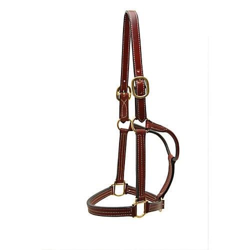 Dale Chavez Triple Stitched Halter Brass Hardware