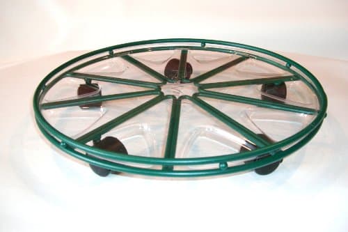 Caddy with Saucer 17" Green