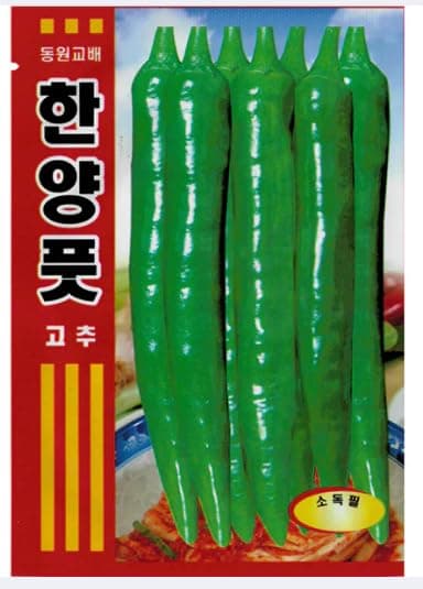 Pepper Seeds Korean,(4grams-Each)