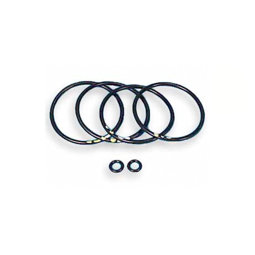 Mark Williams Enterprises 81170 O-Ring Kit for Caliper