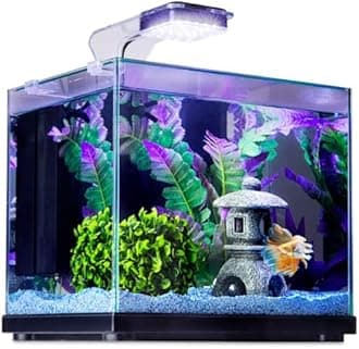 Imagitarium Glass Versa Aquarium, 3.7 Gallons