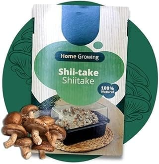 Carbeth Plants - Mushroom Growing Kit Shiitake - Grow Your Own Beginner Friendly Mushroom Educational Kit - Easy to Use Gardening Gift - Ready to Grow Tasty Produce for Cooking