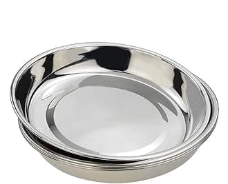 4-Pack Stainless Steel Dinner Plates Dish, Round Plate, 9.72-INCH