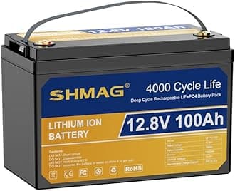 SHMAG 12V 100Ah BCI Group 31 LiFePO4 Battery Built-in 100A BMS, 6000+ Deep Cycles Rechargeable Battery with Low-Temp Protection, Great for RVs, Motor Boat, Off-Grid, Home Energy Storage, Camping