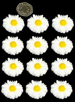 12 x Edible 3D 35mm Daisies Daisy Flower with Coloured Center icing toppers, cake cupcakes decorations (Shimmer Colour)