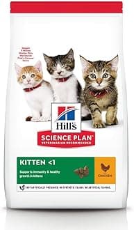 Hills Science Plan Kitten Chicken - dry food for kittens and cats 300 gr