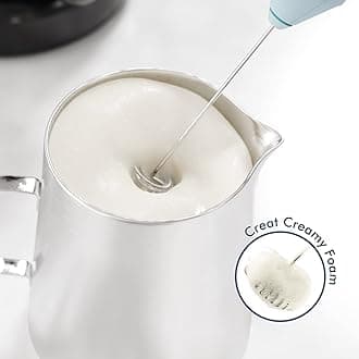 New England Stories Powerful Milk Frother Handheld Foam Maker, Mini Whisk Drink Mixer for Coffee, Cappuccino, Latte, Matcha, Hot Chocolate, No Stand, North Light