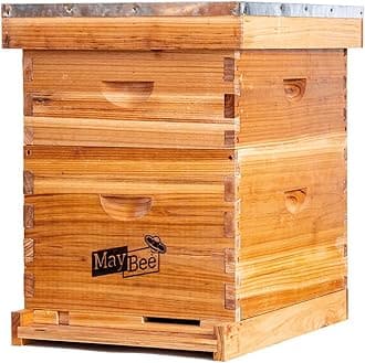 Beehive 10 Frame Bee Hives and Supplies Starter Kit, Bee Hive for Beginner, Honey Bee Hives Includes 1 Deep Brood Hive Box, 1 Bee Hive Super Box with Beehive Frames and Foundations