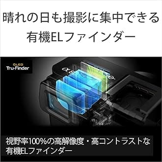 Sony Mirrorless SLR α6000 Body Black ILCE-6000 B (Refurbished Products)