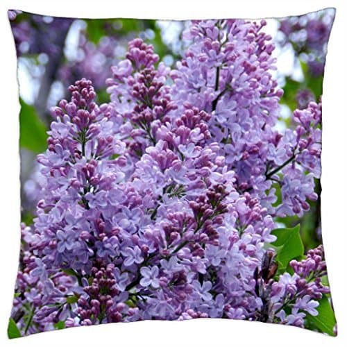 Trendy Muggles Phone Case White Hardshell Case for HTC One M8