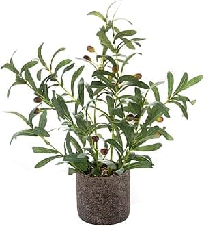 AlphaAcc 18 Inch Artificial Olive Branches Real Looking Potted Plant Fake Olive Tree with Lifelike Leaves and Fruits in Rustic Black Cement Planter Faux Greenery Plant for Indoor Outdoor Decor