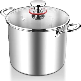 Large Stock Pot, 10L 25.5cm Tri-Ply Stainless Steel Soup Pot with Visible Lid for Pasta/Meat, Metal Cooking Induction Stockpot, Suit for All Kitchen Stove Top, Healthy & Non Toxic, Easy Clean
