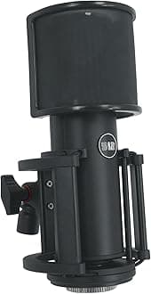 by Warm Audio Skylight Large Diaphragm Studio Condenser XLR Microphone + Shock Mount + Bag for Recording and Podcasting