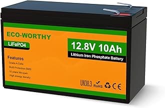 12V 10Ah Lithium LiFePO4 Deep Cycle Battery with 3000+ Cycles, Built-in BMS, Perfect for Fishfinder, Lighting, Back Up Power