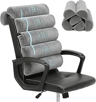 Lumbar Support Pillow for Office Chair,Computer/Desk Chair/Couch,Sitting on Bed,Back Support Adjustable for Chair,Patented 6-fold semicircular Back Cushion (Short Velvet Cover)