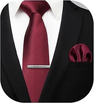 HISDERN Mens Ties Solid Color Wedding Ties and Pocket Square Neckties Clip Sets Business Formal Satin Ties for Men