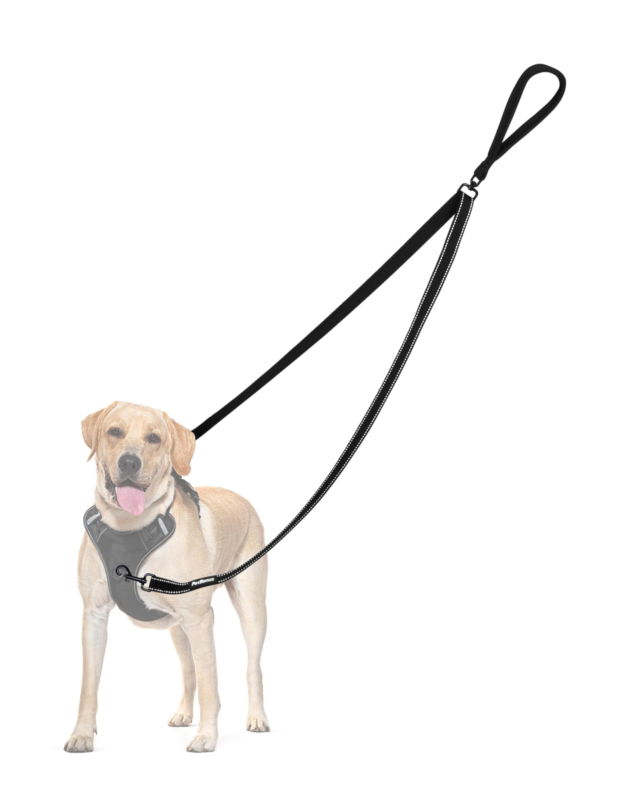 Two point dog lead