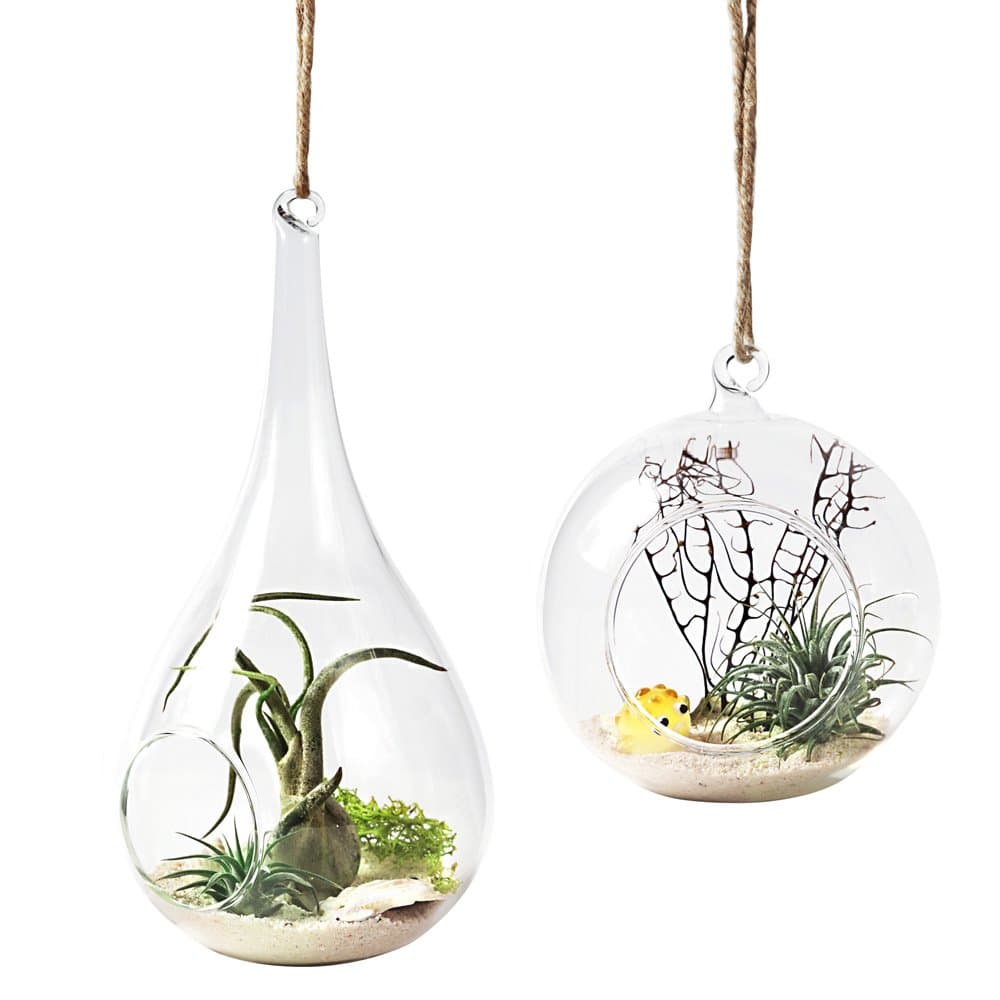 Glass Hanging Planter