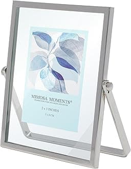 MIMOSA MOMENTS Silver Metal Floating Picture Frame (Silver, 2x3)