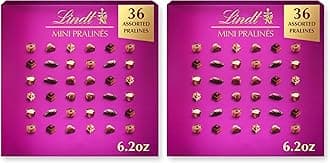 Mini Pralines, Assorted Chocolate Candy Pralines With Premium Filling, Great For Gift Giving, 6.2 oz. Gift Box (Pack of 2)