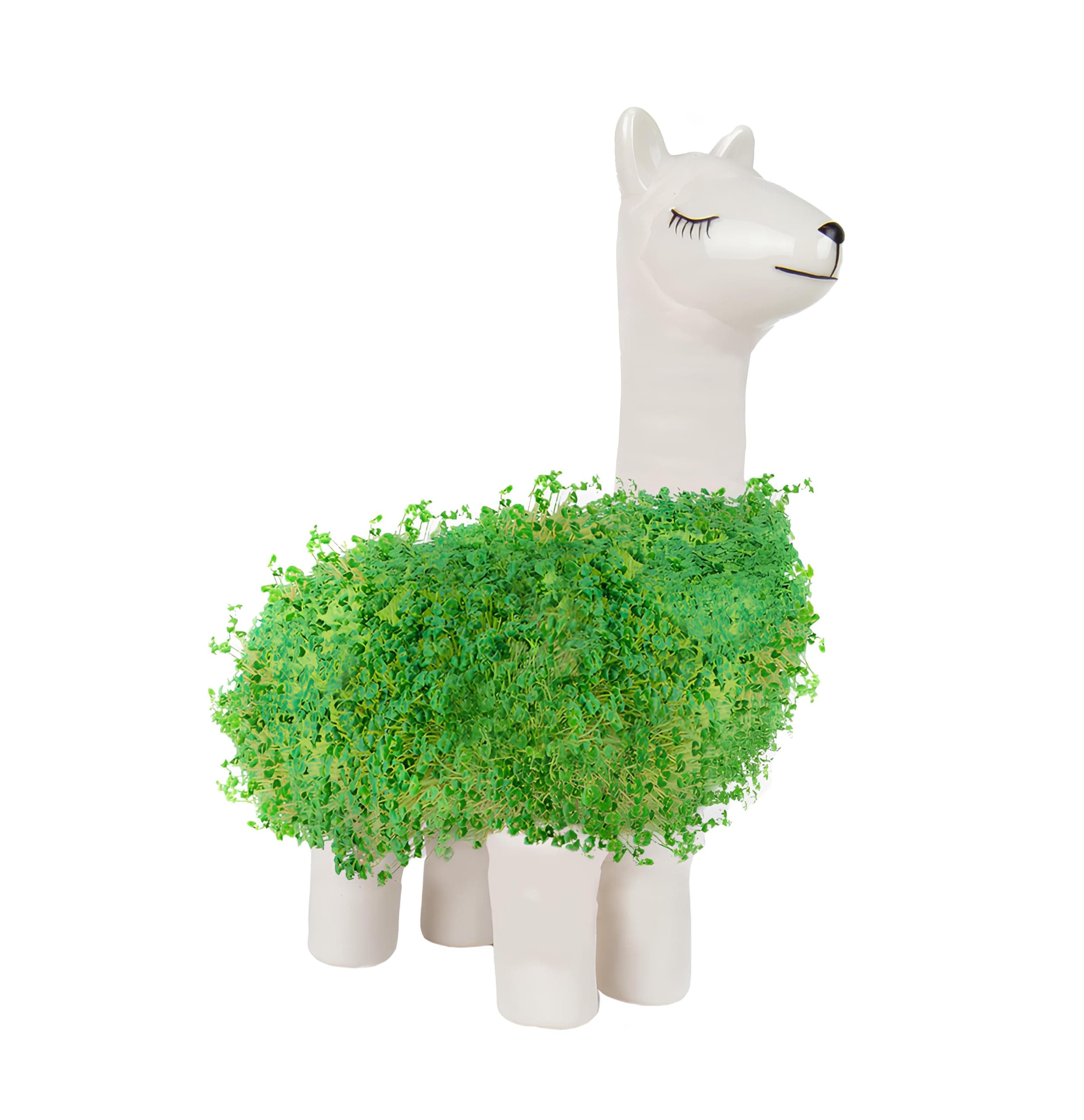 Llama Chia Planter