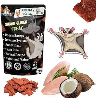 Chicken & Coconut Suger Glider Treat | Protein Rich | Fiber Rich | Crunchy Healthy Snacks | Training Treat | 75gm, All Life Stages, Chips