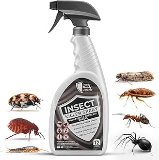 Effective Insect Killer Spray 650ml for All Life Stages - Indoor & Outdoor Use, HSE Approved, Targets Ants, Fleas, Flies & More, Provides 3-Month Protection