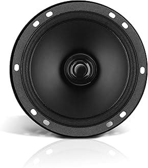 BOSS Audio Systems BRS65 6.5 Inch Replacement Car Door Speaker - 80 Watts Max, Sold Individually