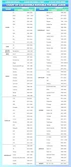 Sun Shade for Car Windshield Foldable Front Window Sun Visor 240T Reflective Fabric Blocks UV Rays and Sun, Automotive Interior Protection for Cars,Trucks, SUVs|L (68.9”x35”)