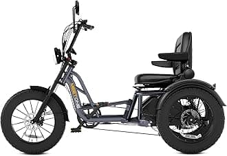 Tour Lite 1200W Rear Drive Electric Tricycle for Adults, 48V 20AH Fat Tire Electric Trike, 25MPH 110Miles, Full Suspension Etrike, Torque Sensor, Reverse & Parking, 550lbs Load (with Upgraded Parts)