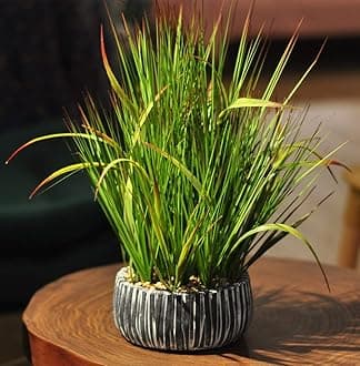 AlphaAcc Small Potted Artificial Grass Plant for Home Kitchen Office Desk Decoration Fake Wheat Grass Plants Weather Resistant Plastic Evergreen Life Like Fake Green Plants