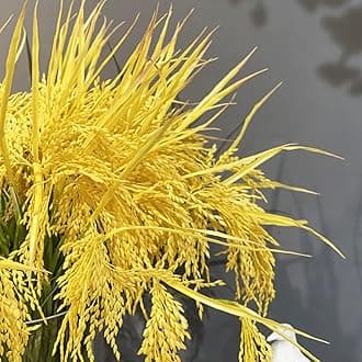 Fake Paddy Grain Ear of Rice Plant Green Plants Artificial for Home Decoration Hall Shop Window Garden 12 Packs Stems (Nature)