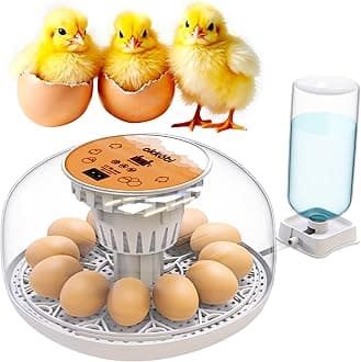 Okkobi M12 Egg Incubator with Automatic Turner and Humidity Control - 12/24 Eggs, 360° View, Easy to Use and Clean - Incubadora de Huevos de Gallina - Made for US - White & Orange