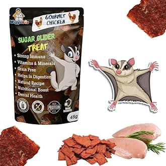 Gourmet Chicken Treat for Sugar Glider | Protein Rich | for All Sugar Glider Breed | Crunchy Food Snack (45 Grm)